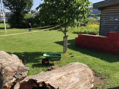 Billeder af Solsikkens legeplads